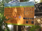 pandan island wildlife info
